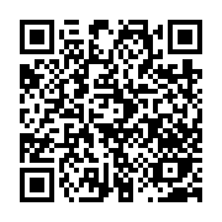 QR code for L516Z
