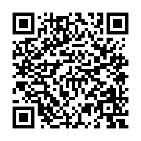 QR code for L517I