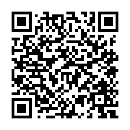QR code for L519E