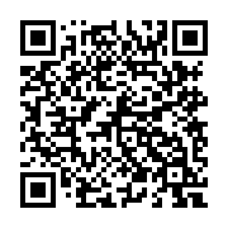 QR code for L528IN