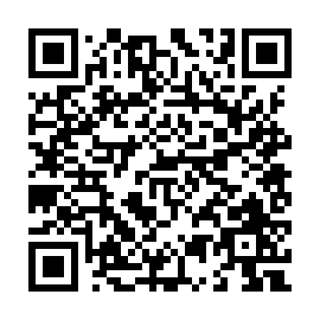 QR code for L529Z