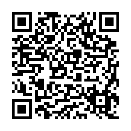 QR code for L533F