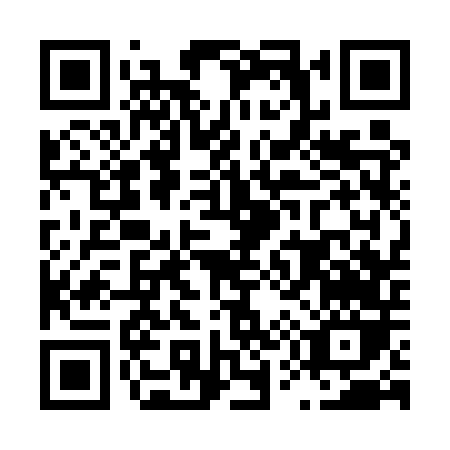 QR code for L535T