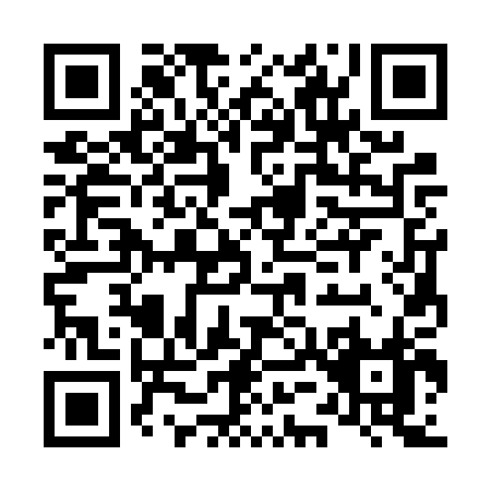QR code for L536P