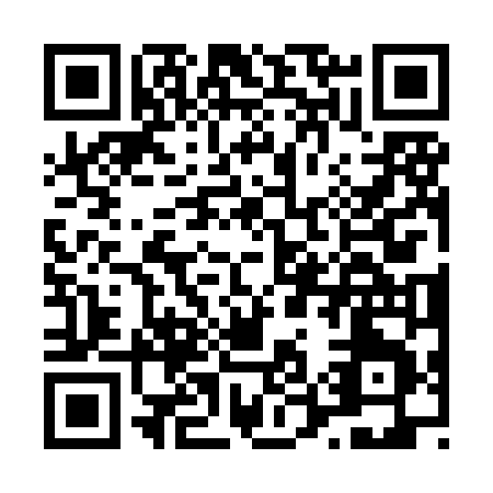 QR code for L538N
