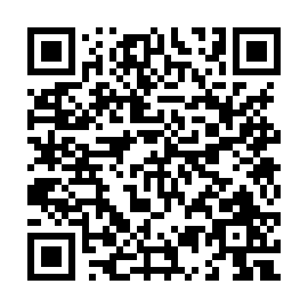 QR code for L538R