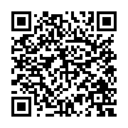 QR code for L538V