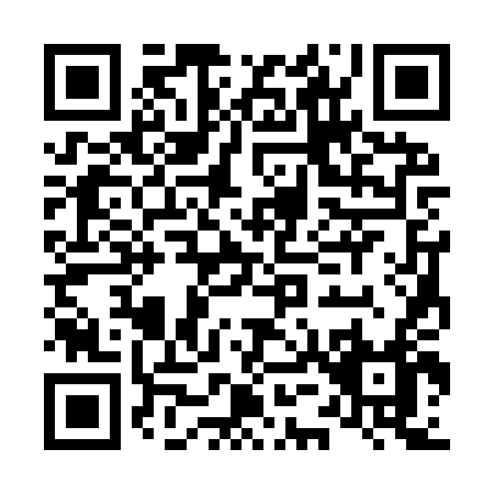 QR code for L539T