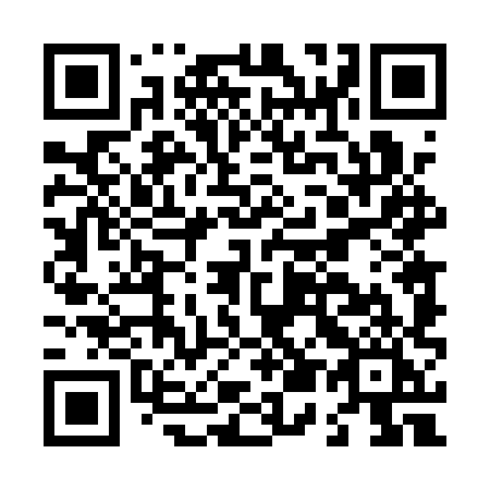 QR code for L541XI