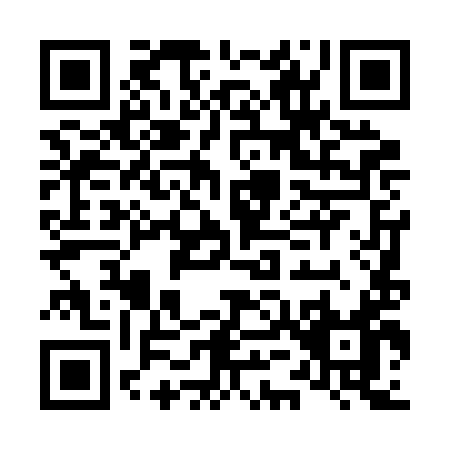 QR code for L542I