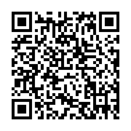 QR code for L545H