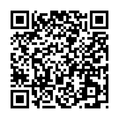 QR code for L550G