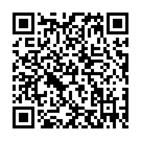 QR code for L551V