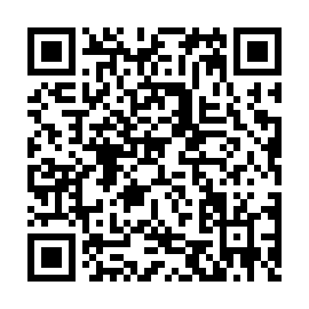QR code for L553T