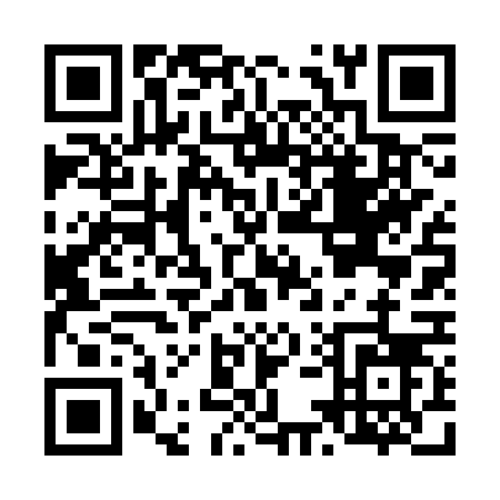 QR code for L563V