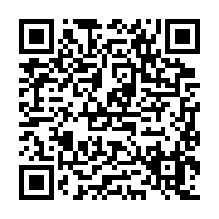 QR code for L563X