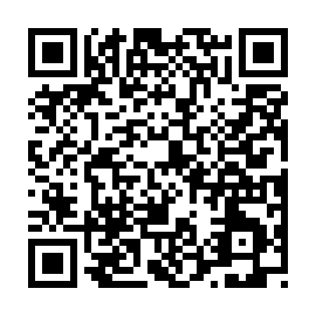QR code for L575I