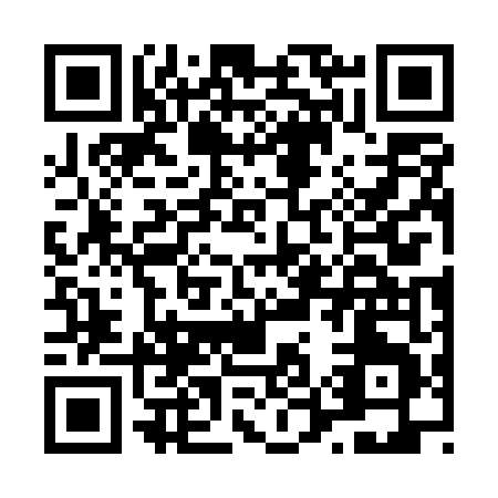 QR code for L575T