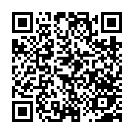 QR code for L576N