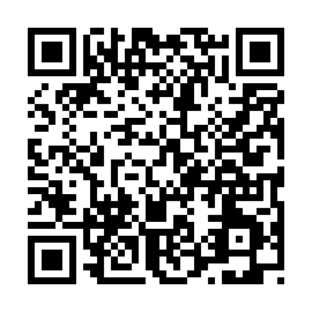 QR code for L590P