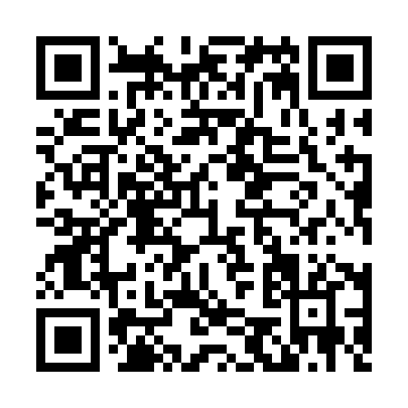 QR code for L593H