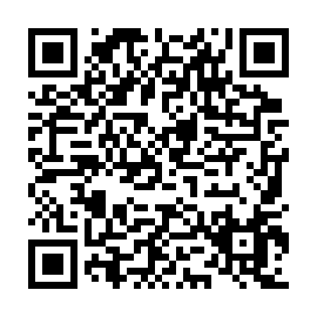 QR code for L593Q