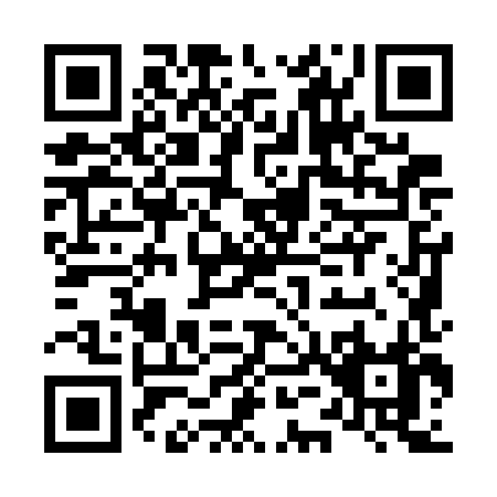 QR code for L597H