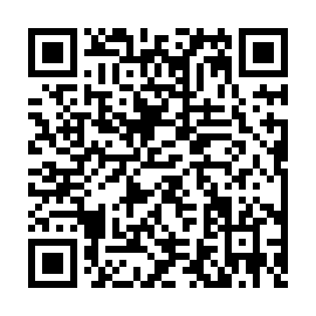 QR code for L638H