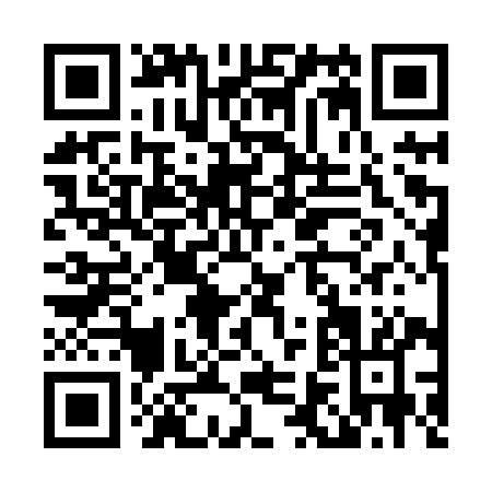 QR code for L638Y