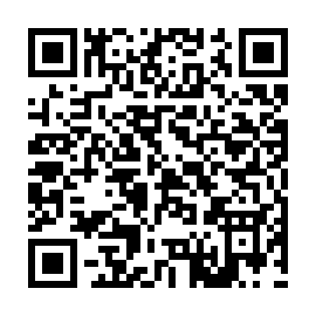 QR code for L653S