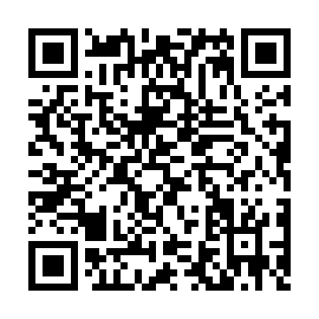 QR code for L655G
