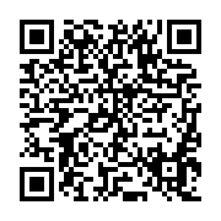 QR code for L668E