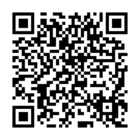 QR code for L699T