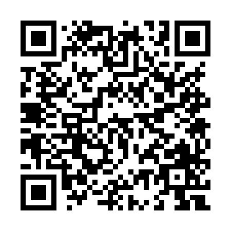QR code for L738X