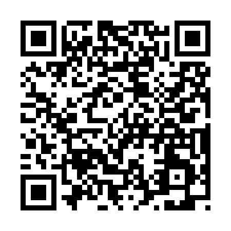 QR code for L739D