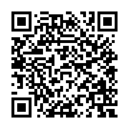 QR code for L806Q