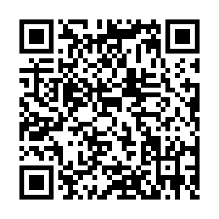 QR code for L807A