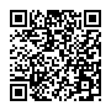 QR code for L813X