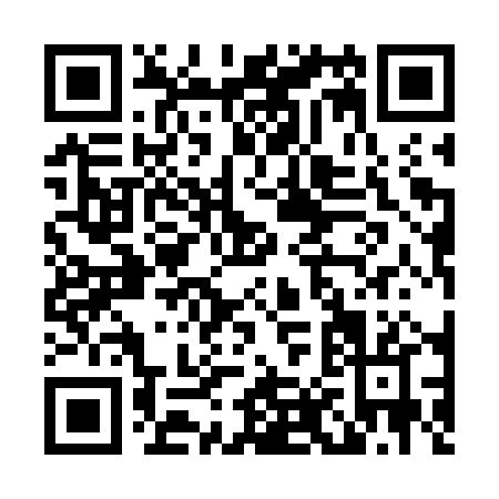 QR code for L817P