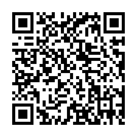 QR code for L819X