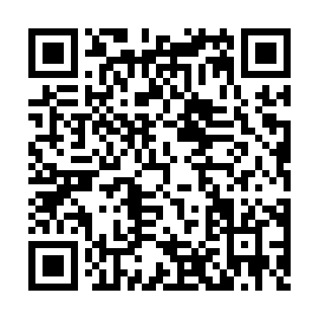 QR code for L851X