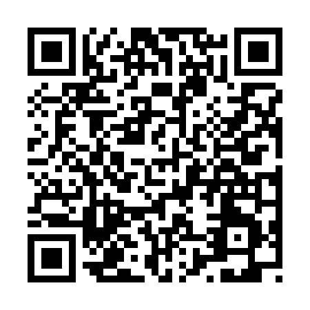 QR code for L863N