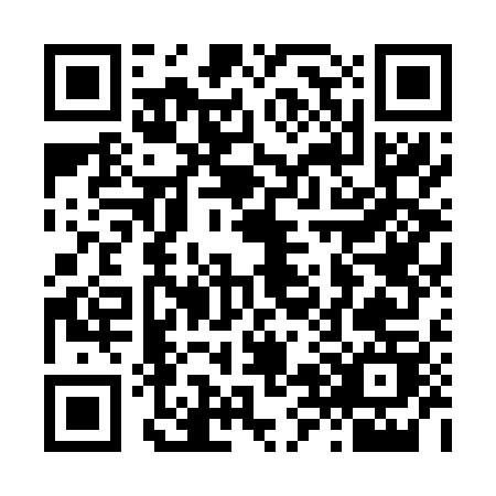 QR code for L866P