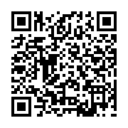 QR code for L907P