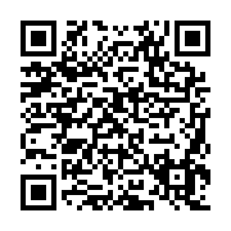 QR code for L911N