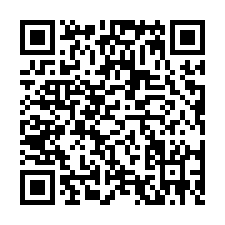 QR code for L911Q