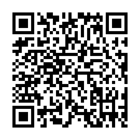 QR code for L913C