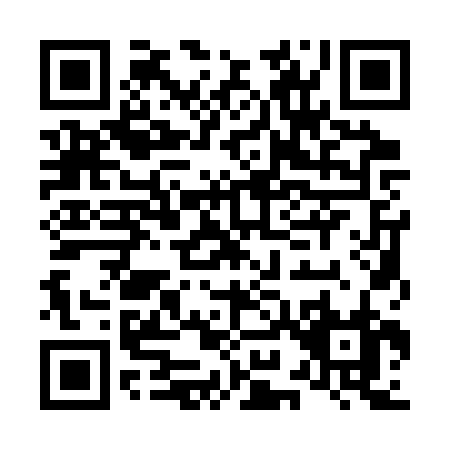 QR code for L913R