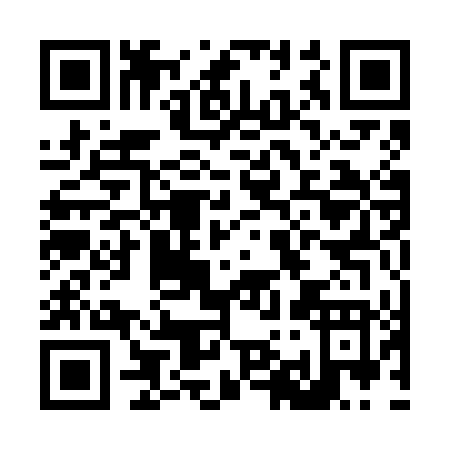 QR code for L916D