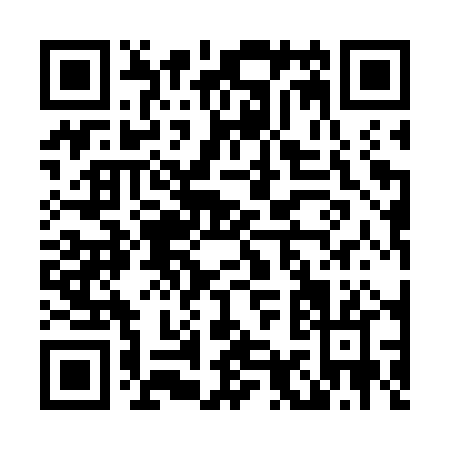 QR code for L917P